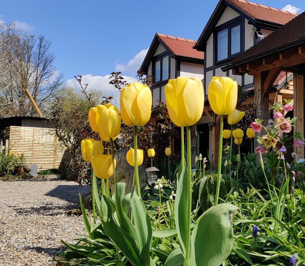 Delightful & Picturesque Modern Detached Apartment, Next To Chester Zoo, Near Park And Ride To City Centre Bagian luar foto